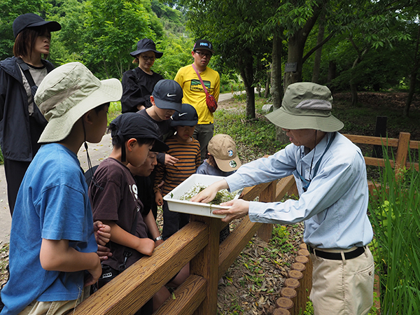 観察会のようす
